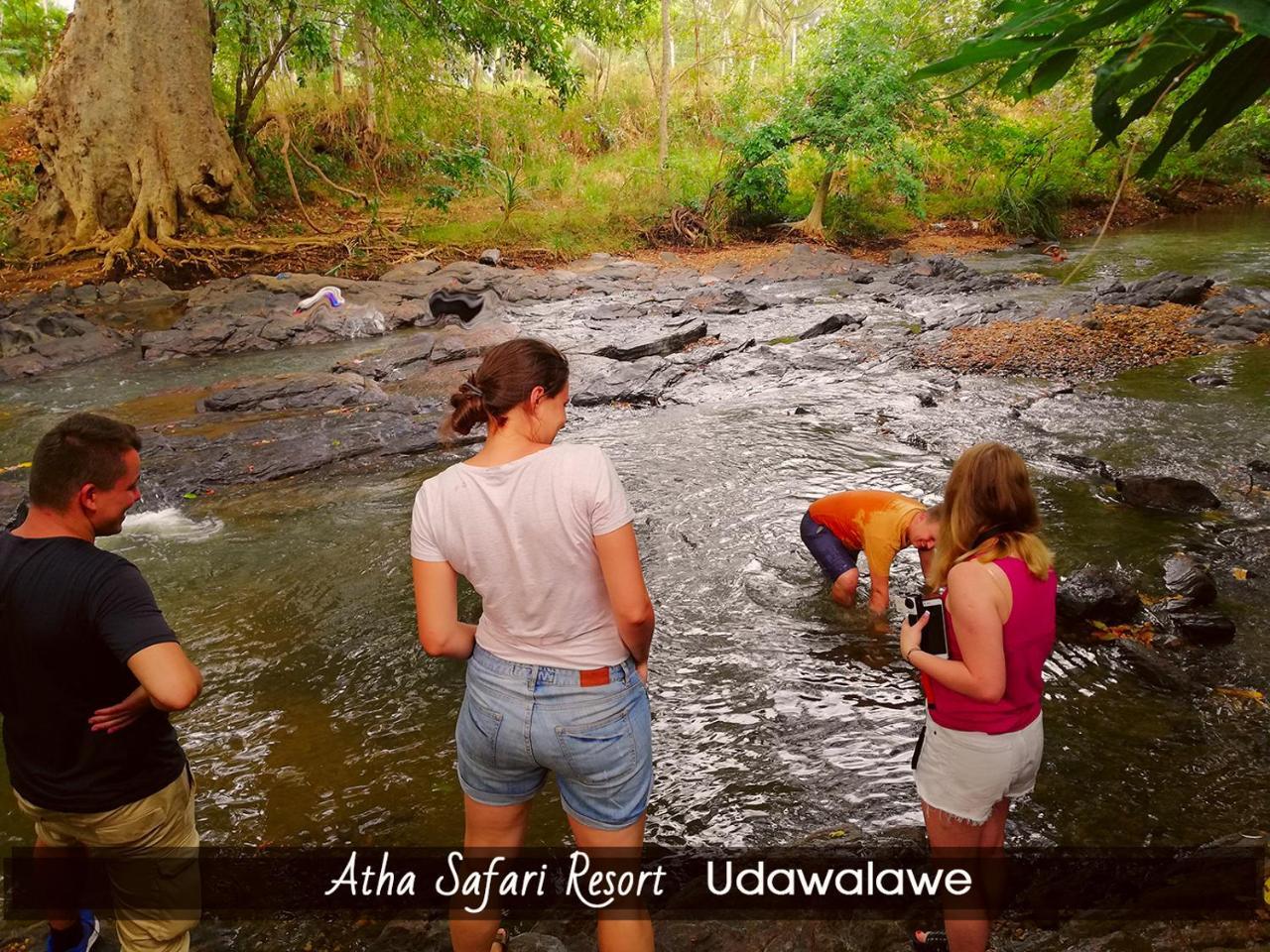 Atha Safari Resort & Riverside Camping Udawalawe Luaran gambar