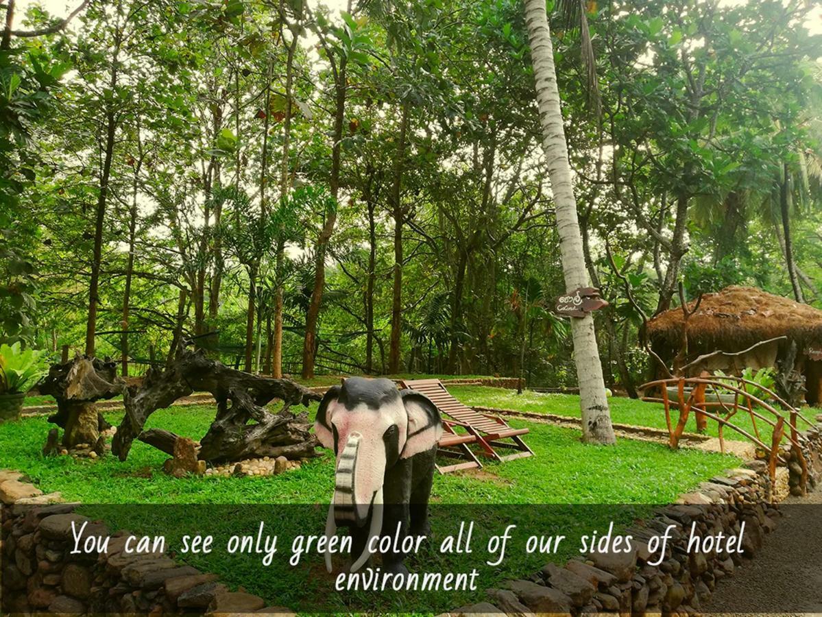 Atha Safari Resort & Riverside Camping Udawalawe Luaran gambar